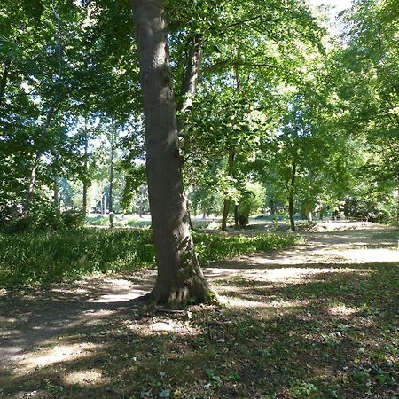 Ferienwohnung Mit Brockenblick Langenstein エクステリア 写真