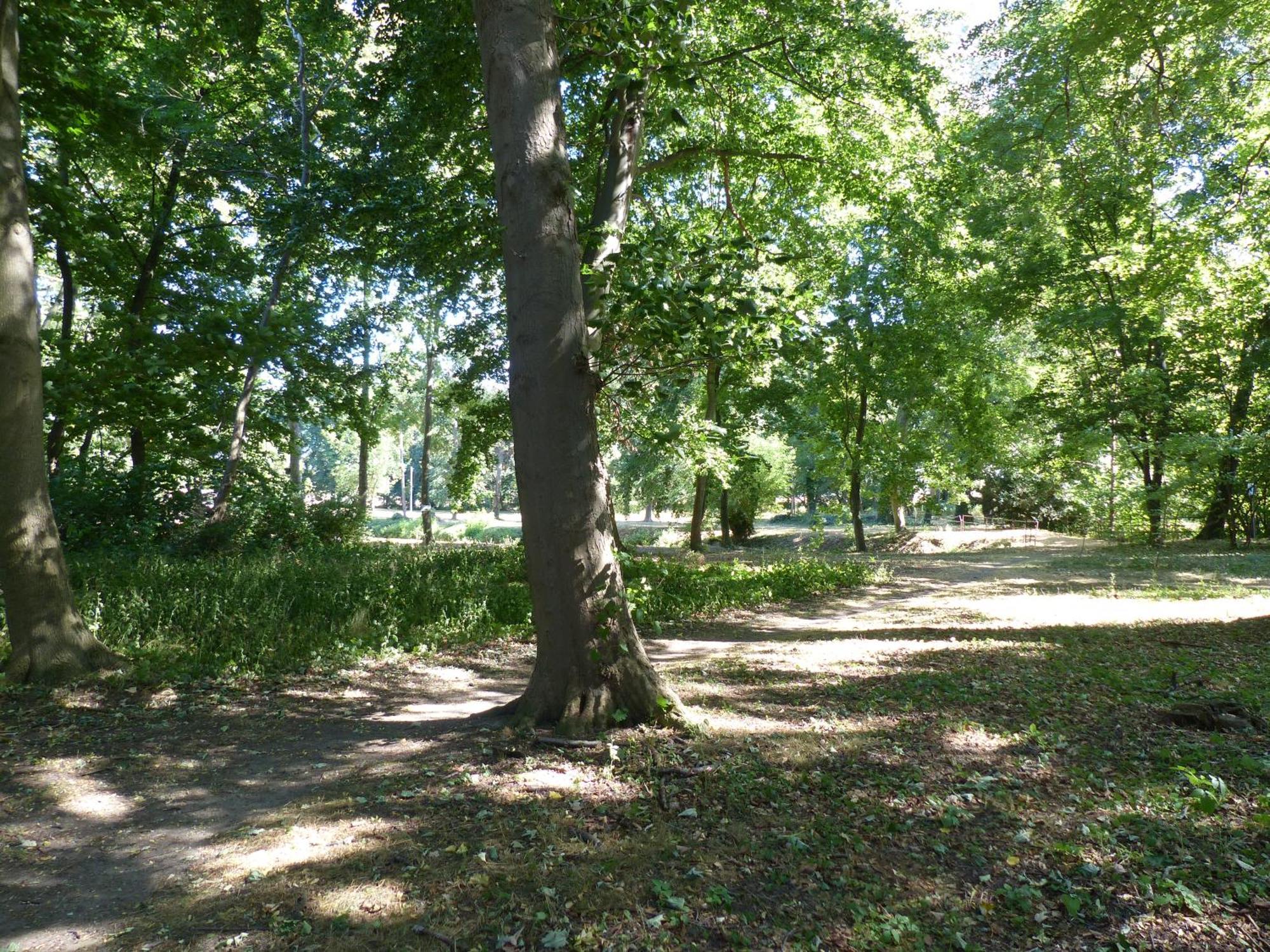 Ferienwohnung Mit Brockenblick Langenstein エクステリア 写真